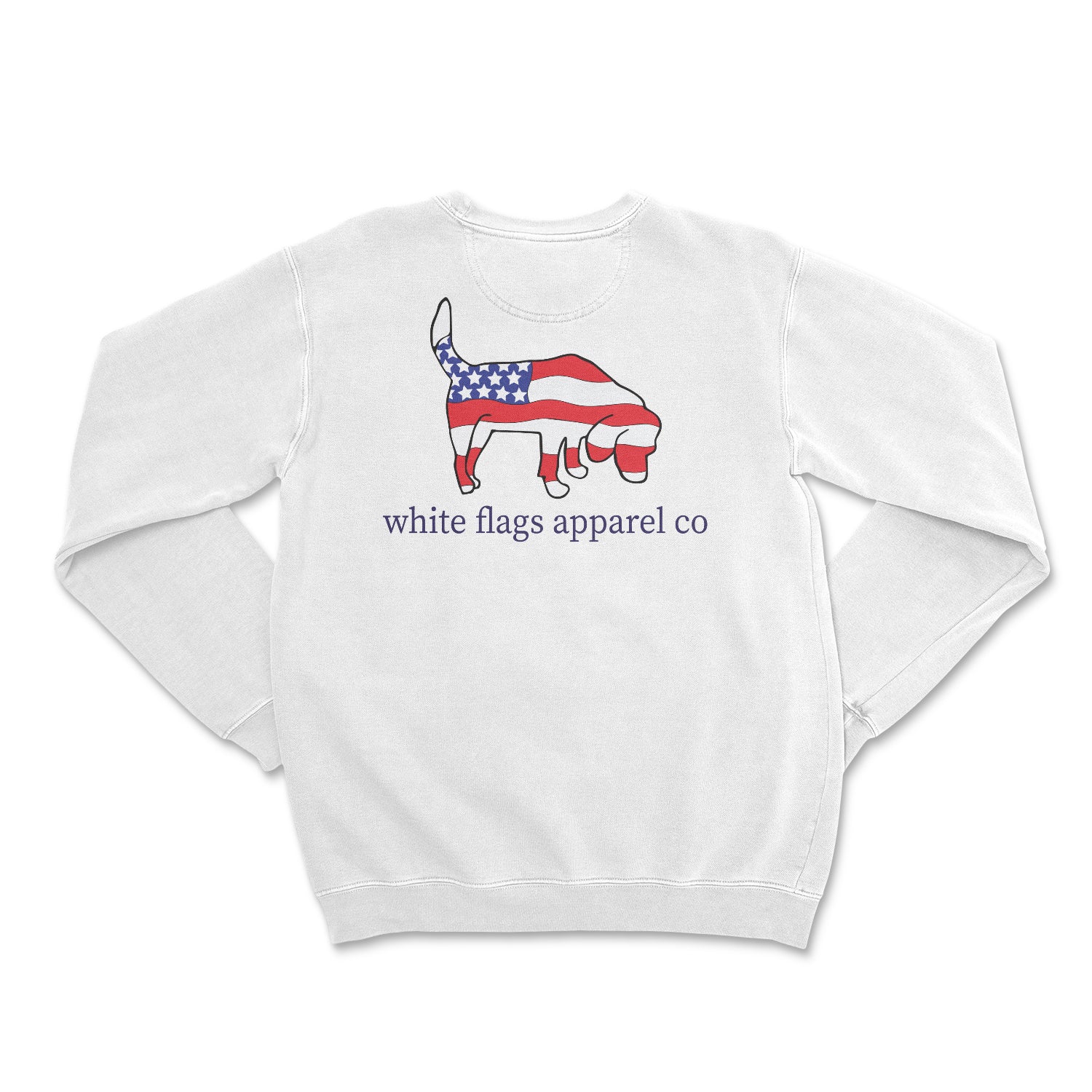 Soft Pastel Crewneck - American Flag